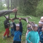 phoca_thumb_m_vp - tet den 39 Fotogalerie